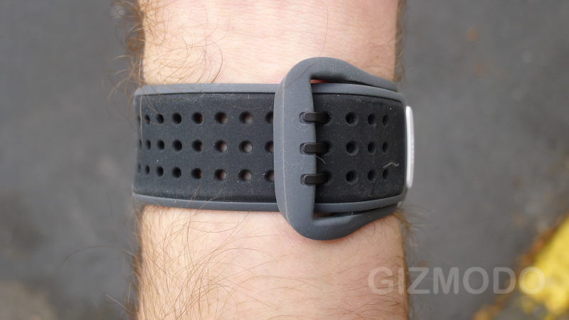 Illustration for article titled Mio Alpha Review: One Giant Leap For Heart Rate Monitors